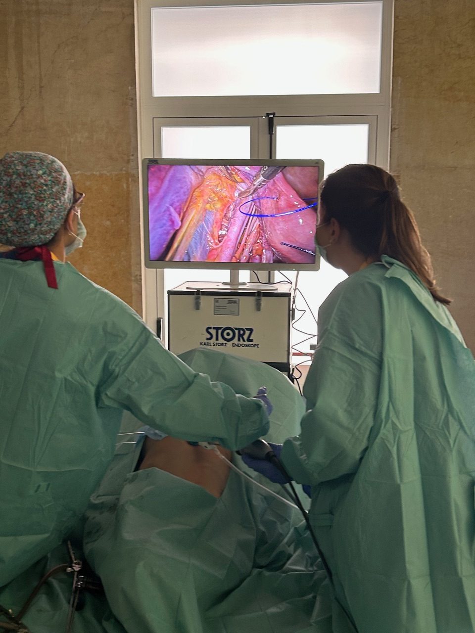 2 edição do curso Gynaecology Minimally Invasive Gynaecological Surgery | Dr. José Reis